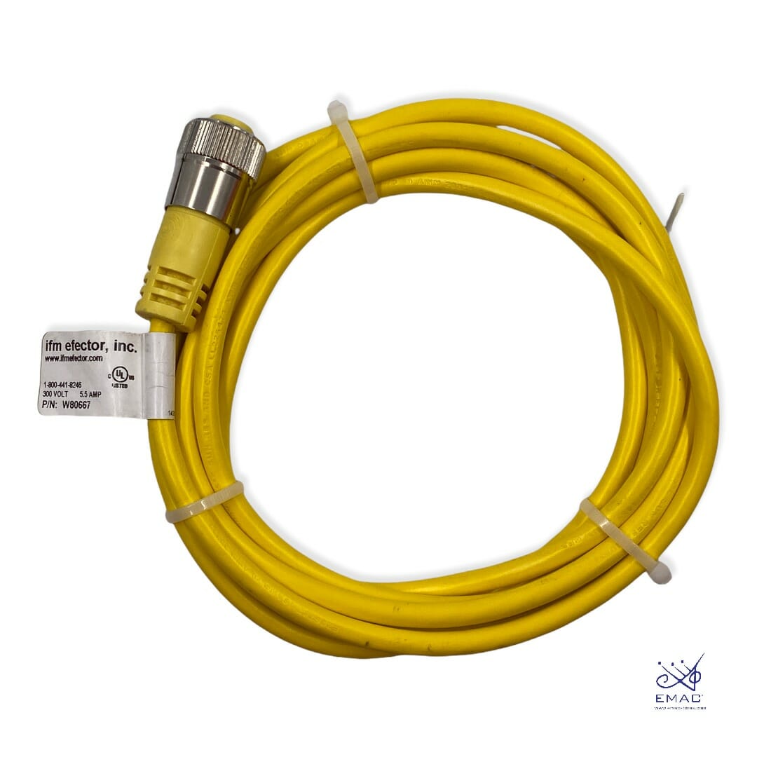 W80667 IFM